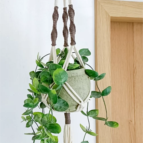 Groeihanger4